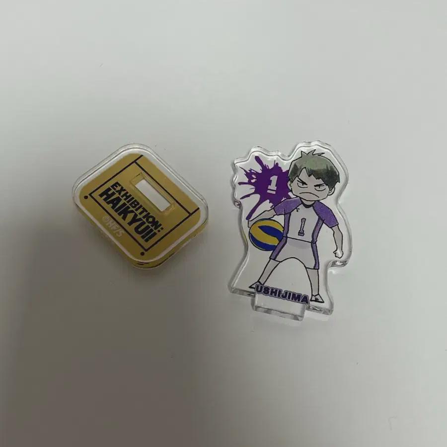 

Ushijima Mini Acrylic