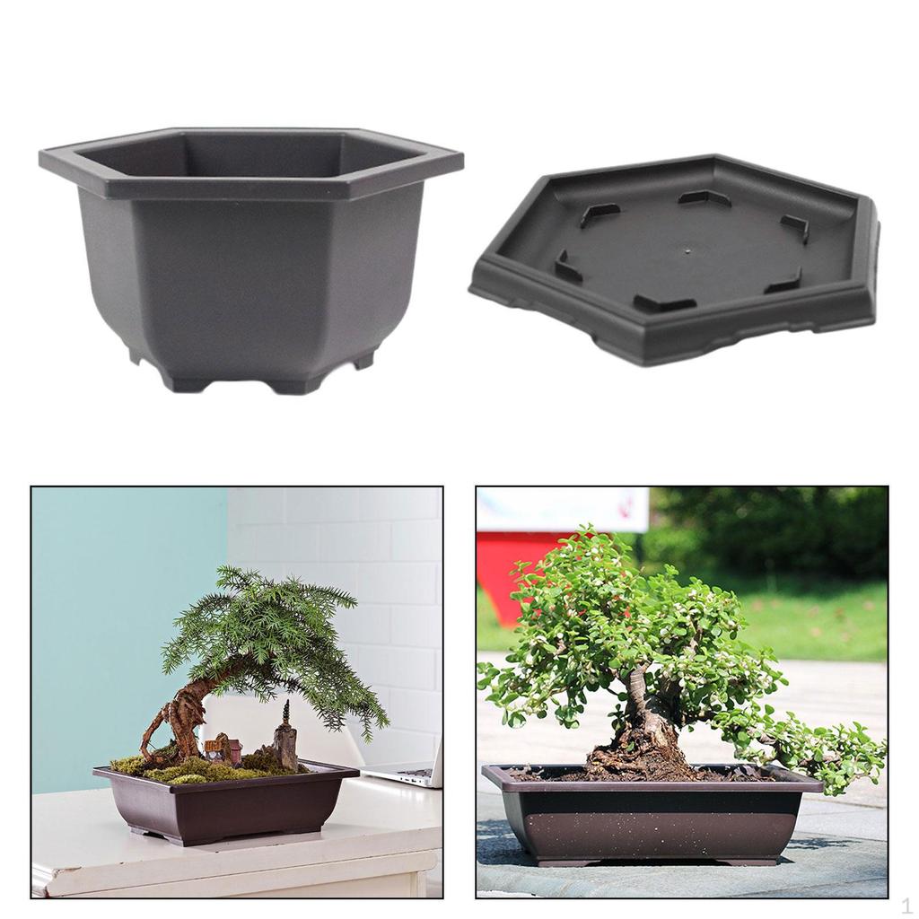Durable Plant Pots with Tray for Indoor and Outdoor Use