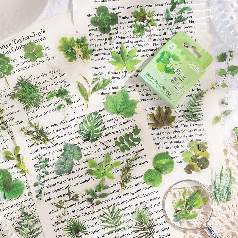 50pcs Flower Fall PET Stickers Set Green Plant Series Decoration Note Sticker Home Diary Book DIY Art
