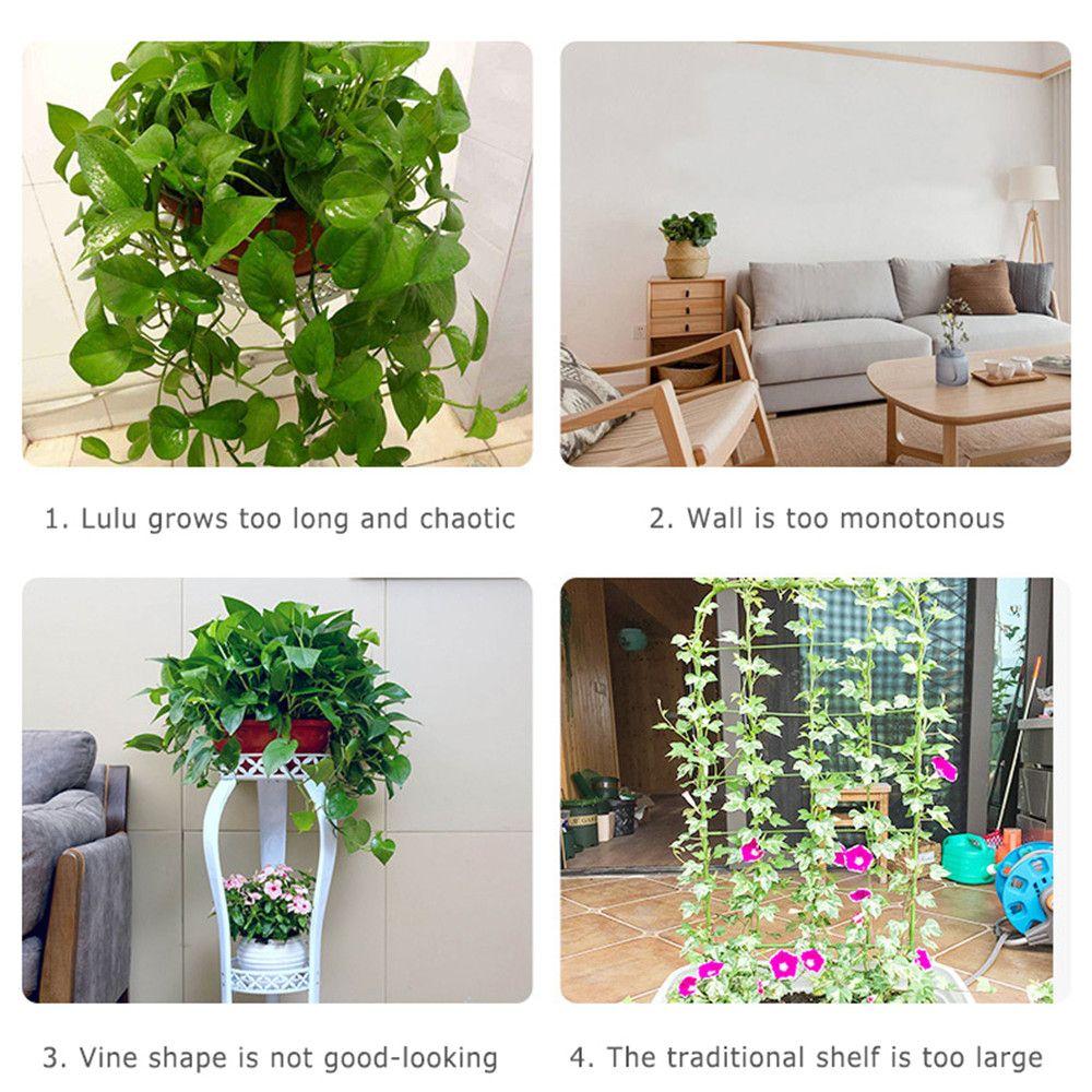 10/50PCS Hook Plants Holder Wall Sticky Hook Rattan Clamp Wall Vines Plant Clip Greenhouse Bracket