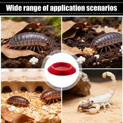 Isopod Feeder 12 Pieces Non-Slip Terrariums Feeding Tray Dubia Roaches Feeder Bowls For Springtails Millipedes Dwarf