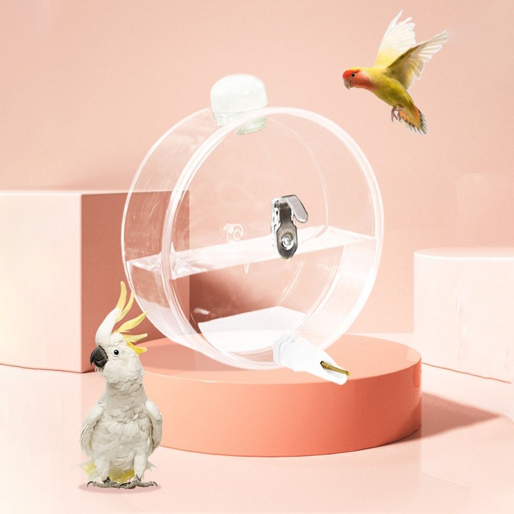 Hangable Birds Water Dispenser 350ml Bird Drinkers Pet Supplies Pet Birds Water Bottle  Finches