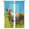 Country Animal Cows Tulle Curtain Home Office Window Decor Bedroom Kitchen Balcony Modern Sheer Curtain