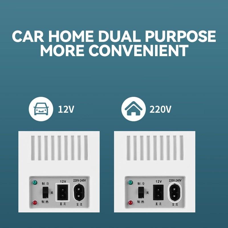 8L Large Capacity Mirror Cosmetic Refrigerator Car Household Mini Refrigerator Beauty Mask Skin Care Cosmetics Mini Fridge