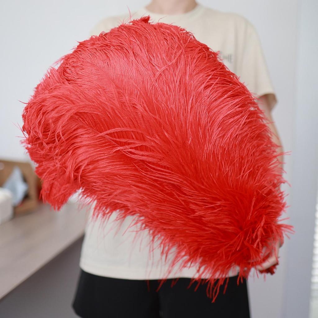 15-75cm Red Ostrich Feathers for Wedding Aisle Centerpieces, Table Decorations, Wall Art, Stage Props