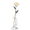 Long Stem Dipped 24k Gold Rose in Gift Box with Stand Gift for Her ( Rose with Stand)