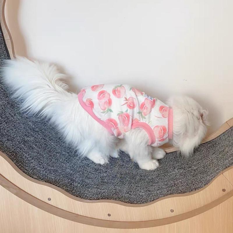 

Одежда для питомцев летняя тонкая кошачья майка с рисунком против выпадения шерсти померанский шпиц медвежонок тедди дышащая майка без рукавов 2XL bust 55cm about 14-8.5kg