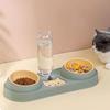 2-in-1 Pet Bowl with Drinking Raised Stand Cat Double Bowls Durable Dog Food Bowl