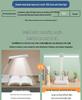 Rechargeable LED Eye-Protection Desk & Bedside Lamp with Pen Holder