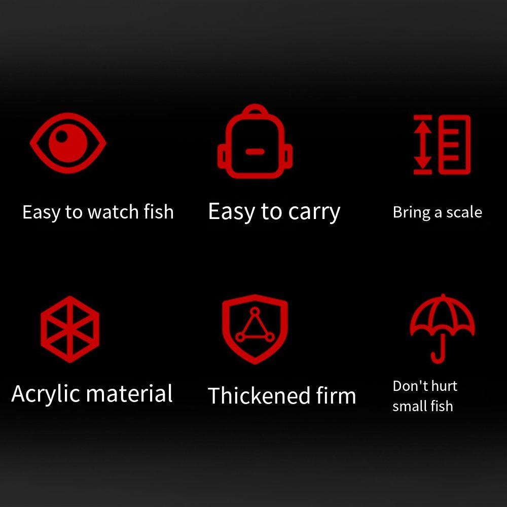 Portable Transparent Fish Viewing Box Micro Landscape Rectangle Desktop Goldfish Bowl Mini Dustproof Fish Breeding Tanks Snails