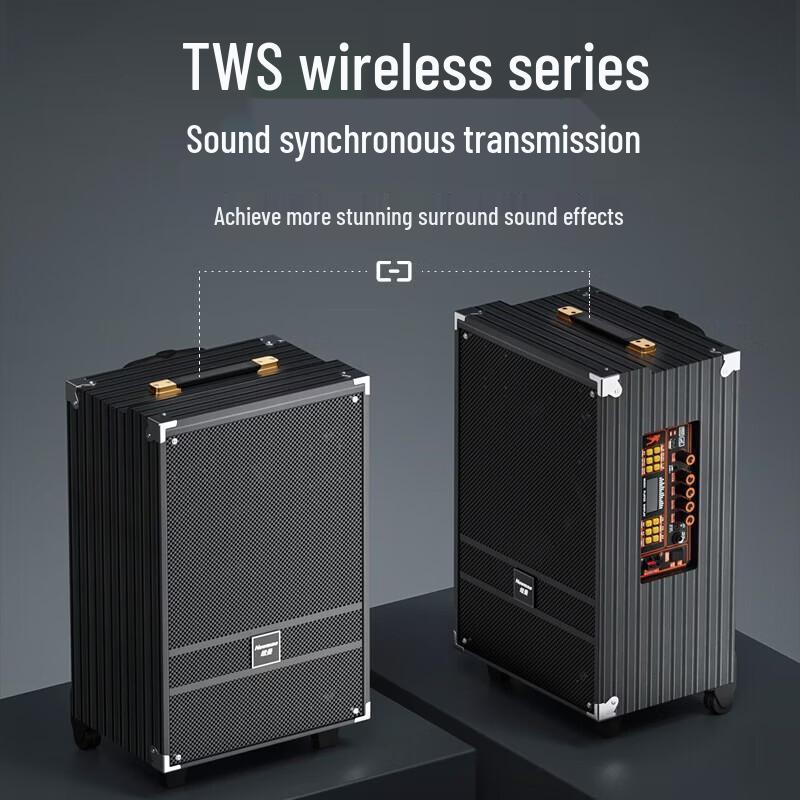 Newsmy N519 12-inch Portable Bluetooth Trolley Speaker