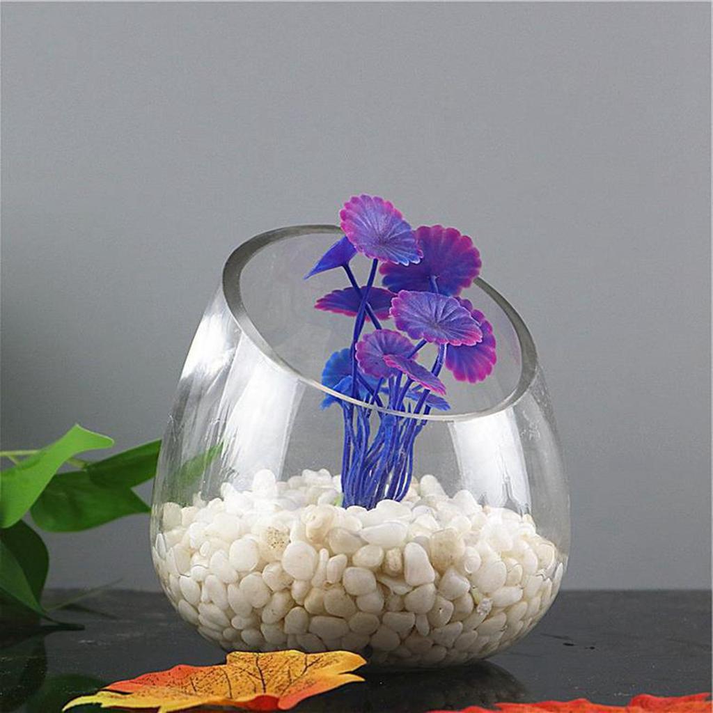 Slant Cut Bowl Glass Vase Micro Landscaping Container Glass Terrarium Bowl for Decoration Party Garden Centerpiece Wedding