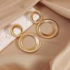 Fashion exaggerated versatile double-circle earrings women's light luxury high-end striped earrings creative earrings