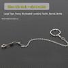 Stainless Steel Bird Stand with Ankle Chain for Large Parrots and Cockatiels