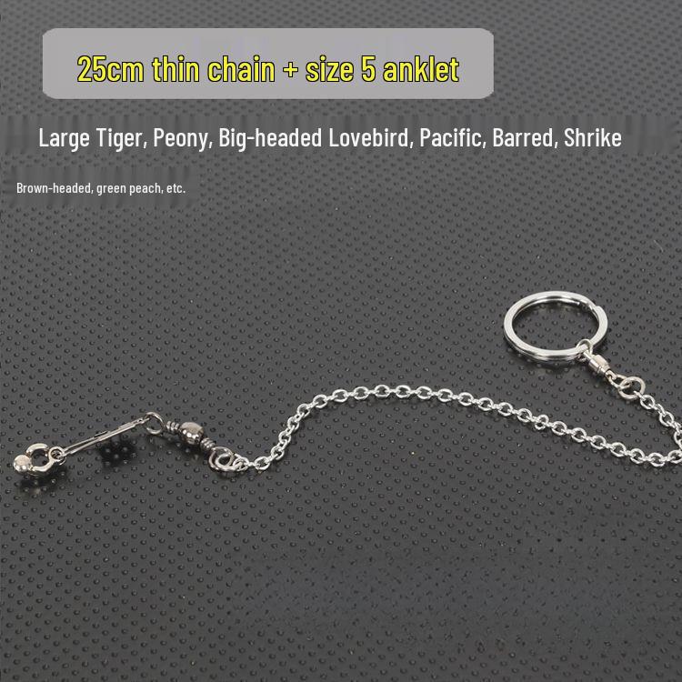 Stainless Steel Bird Stand with Ankle Chain for Large Parrots and Cockatiels
