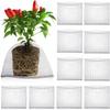 Rat Prevention Plant Root Protection Cover Dense Mesh Bird Barrier Net  Flower Bulbs Protection
