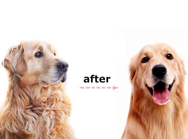 Pet Double-sided Brush Grooming Dematting Deshedding Stainless Steel Blade for Matted Long Cat Dog Hair Removal Comb
