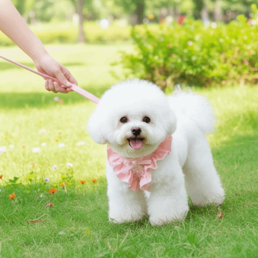 Verstellbares Hundegeschirr und Leine Atmungsaktiv Bequem Haustier-Laufseil Ausbruchsicher Blumenmuster Haustier-Ziehseil
