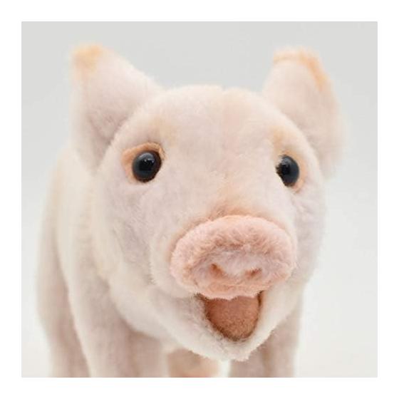 BH6455 HANSA Pig 23