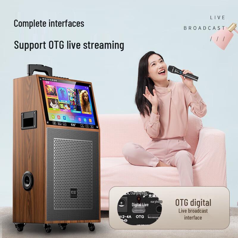 Soaiy SA-K10S Portable Outdoor Karaoke Speaker and PA System (CN version)