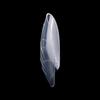 150Pcs Transparent Full Cover Nail Tips 15 Sizes Space Nail Forms Sandwich Nail Forms  Home Salon
