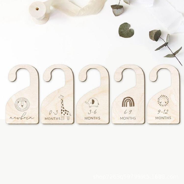 Cute Baby Closet Dividers By Month Nursery Closet Organizer Kids 0-12 Months