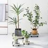 Jardinería y paisajismo – Soportes para plantas