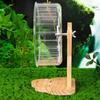 Transparent Hamster Exercise Wheel Wooden Stand Hamster Running Stand Pet Exercise Toy  Golden Bear