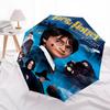 1pc Harry Potter and the Sorcerer's Stone Automatic Folding Umbrella - Compact 8-Rib Design, Durable Plastic & Iron1453L