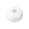 Double-Layer Interactive Pet Toy: Magic Ball and Hiding Cover for Self-Amusement and Boredom Relief in Cats and Dogs