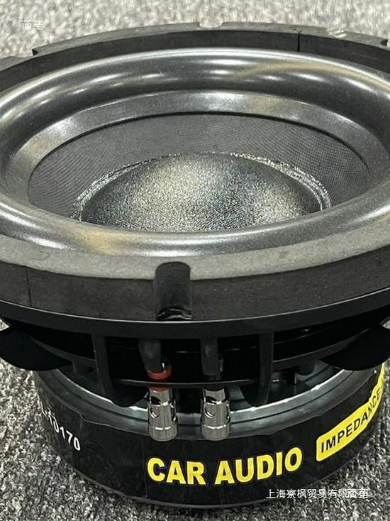 10-inch Car Subwoofer Speaker with Dual 170 Magnets and Dual 75 Voice Coils