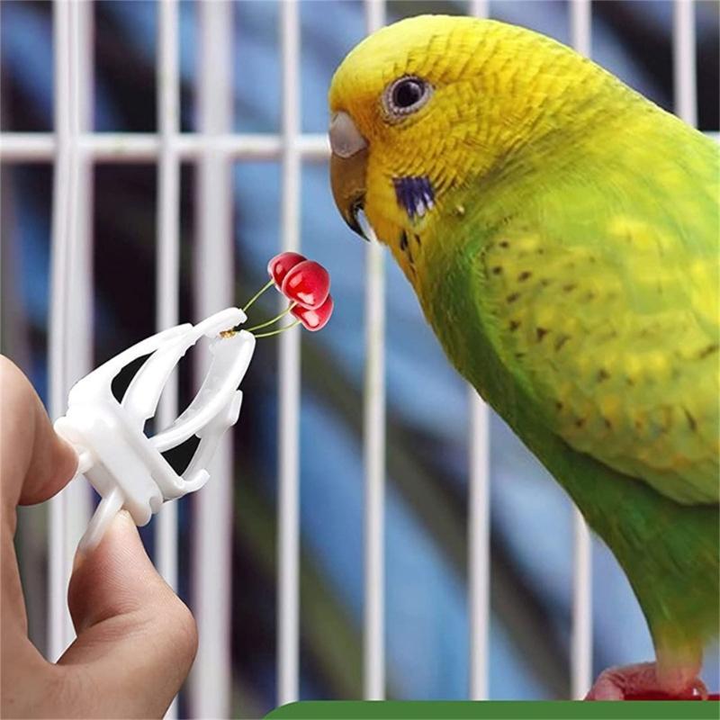 10 Pcs Bird Food Holder Feeding Clips Parrot Toy for Small Size Bird Cage Mount Multifunctional Treats Fruit Holder