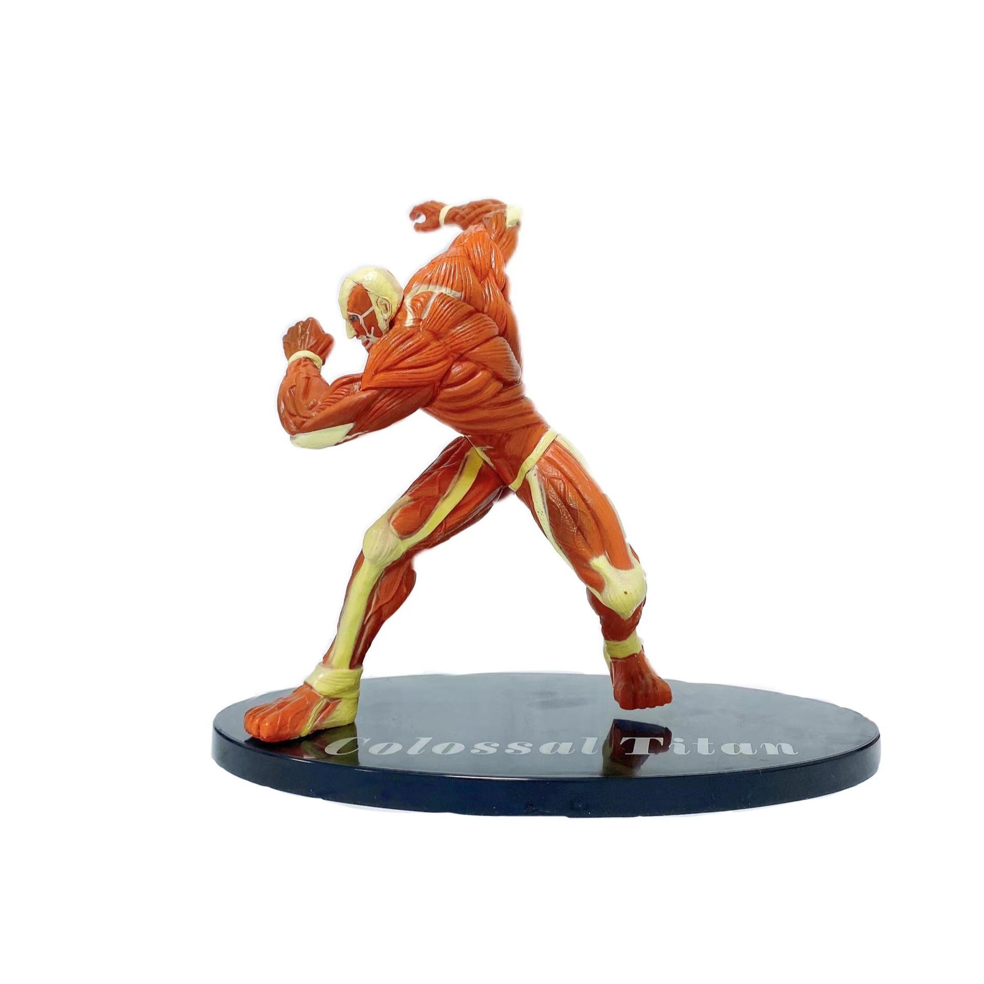 

Аниме рукоятка Warhammer Reiner Brown Kay Giant Female Cartoon Toy Gift