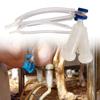 Căptușeală și Cupă Reutilizabile din Silicon pentru Mulgere Capre Oi Cu Design Ergonomic Pentru Soluție Sanitară în Fermele de Lapte