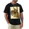 Albrecht Durer Hare Tshirt Basic Regular Fit Casual Tshirt