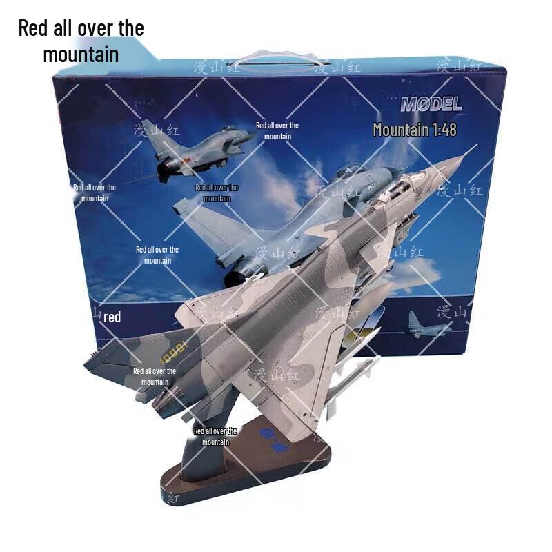 J-10 Fighter Aircraft Model