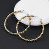Stainless Steel Double Color Earrings For Women Female Twist Titanium Steel Hoop Earring Exaggerate Trendy Jewelry Accessories