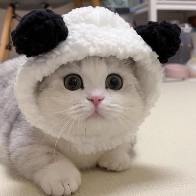 Cute Animal Cat Hat Cats Fuzzy Bunny Pig Panda Design Hat Fun White Goose Hat Adjustable Headwear for Kittens Festive Party Costume Accessory