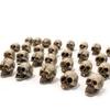 10/20Pcs Gothic Skull/ Mushroom Sculptures Collectable Halloween Decoration Skeleton / Mushroom Ornament Landscape Garden Potted