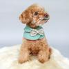 Pet Cat Shawl with Bowknot Dog Princess Shawl Lovely Casual Costumes