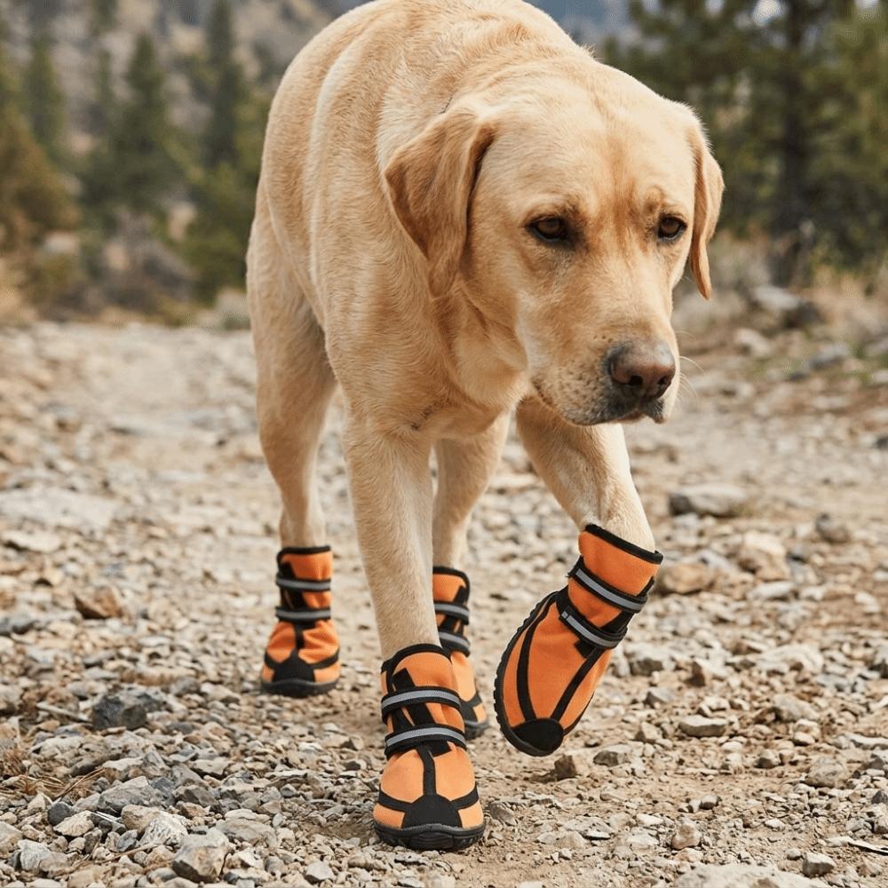 Soft Sole Dog Shoes Adjustable Strap Dog Waterproof Boots  Medium Large Dogs