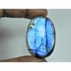 80Cts.Natural Labradorite Blue Flash Oval Cabochon Loose Gemstone 28X43X07MM B-333