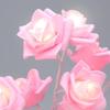 LED White Rose Flower Night Rose Bedroom Night Lamp Home Lamp Decor Simulation Tree Christmas Wedding | LED Table Lamps