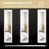 LED Full-Length Mirror, 40 X 160 Cm, Touch Control, Dimmable, 3 Colors, Grey