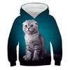 Autumn 3D Cat Pattern Printed Top Fashionable Casual Long Sleeved Children's Boy Hoodies
