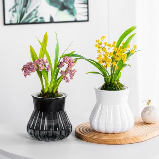 Self-watering Flowerpot with Self-absorbing Cotton Rope Creative Plastic Plant Pot Indoor Planter with Inner Cup for Succulent Cactus Herb African