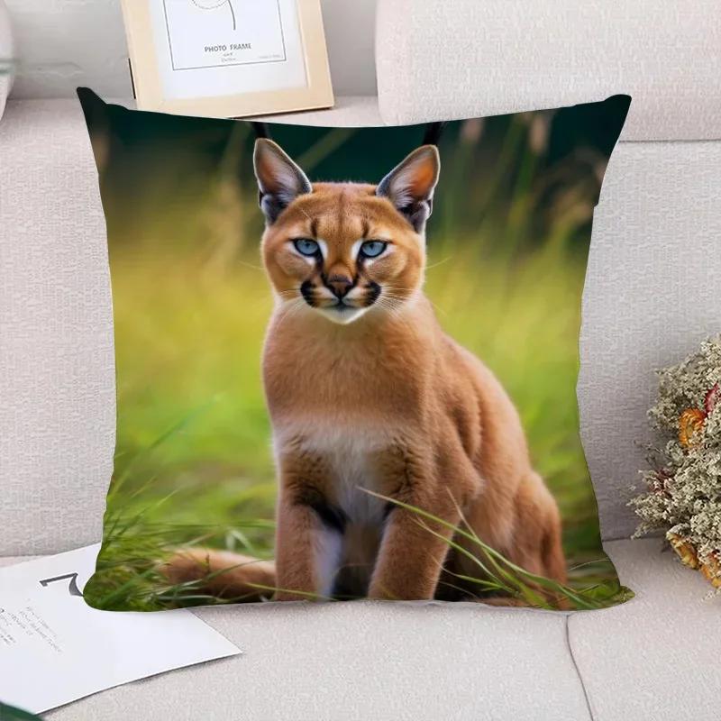 Caracal Poduszki na sofę Poszewka dekoracyjna x Poszewki na poduszki Poduszki dekoracyjne Wystrój domu Poszewka na poduszkę Krótki plusz