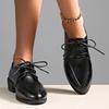 2026 New Elegant Patent Leather Dress Shoes for Women Spring Summer Fashion Pointed Toe Thick Heels Single Shoes Plus Size