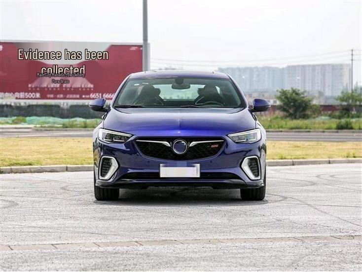 09-21 Buick Regal/GS Front Grille Emblem and Air Vent Surround