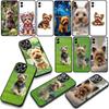 Yorkshire Terrier Yorkie Dog Pet Phone Case for Samsung Galaxy S25 S23 S22 S24 FE Ultra Plus A56 A05 A06 A15 A16 A57 S7 Edge